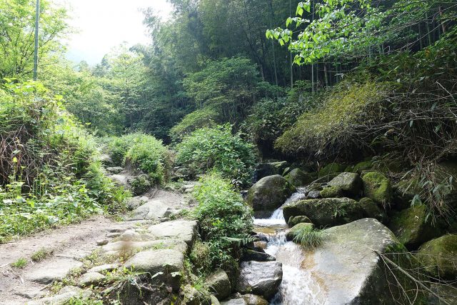 龙山村开始上山