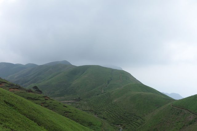 武功山高山草甸初见