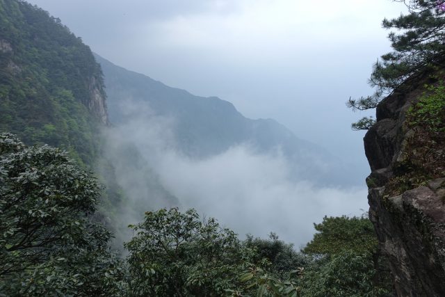 武功山起雾了