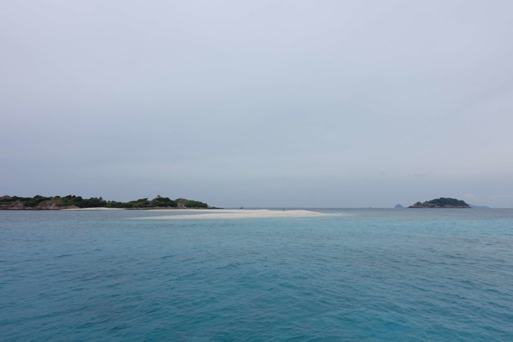 海岸边的珊瑚坟墓